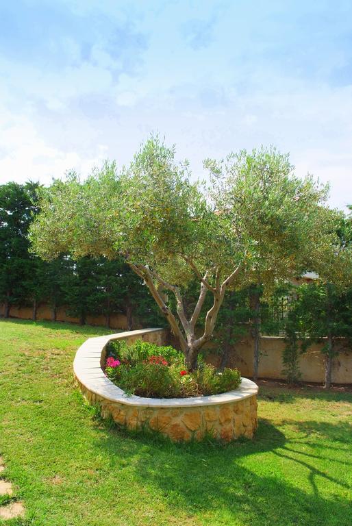 Sofia Luxury Maisonettes Νικήτη Εξωτερικό φωτογραφία