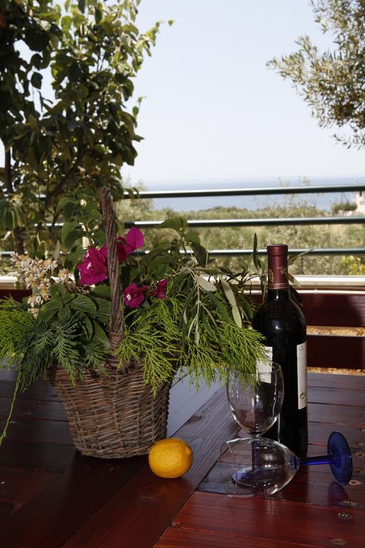 Sofia Luxury Maisonettes Νικήτη Εξωτερικό φωτογραφία